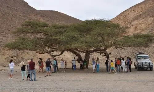 imgi_7_s safari 2_18e8d__lg.webp