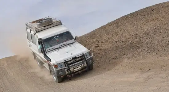 imgi_10_s safari 3_e8ab4__lg.webp