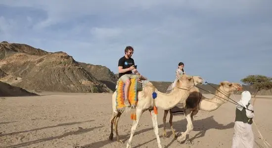 imgi_9_s safari 7_30abf__lg.webp