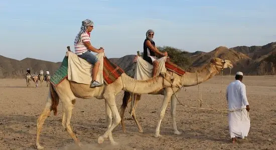 imgi_11_moto 2 h_a9d62__lg.webp