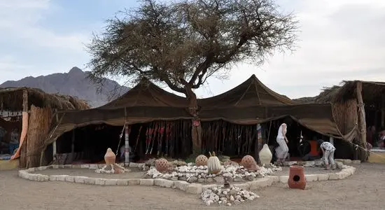 imgi_11_s safari 6_28ac9__lg.webp