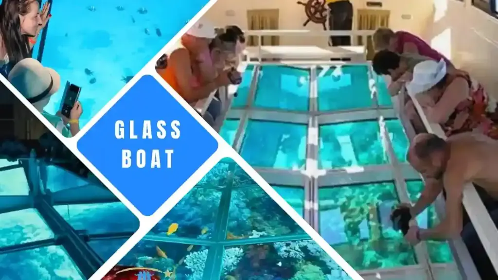Hurghada Glass Boat Trip | Discover the Magic of the Red Sea Without Diving (Adult)