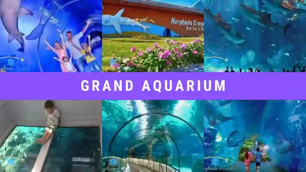 Explore the Underwater World at Hurghada Grand Aquarium | Book Your Ticket at the Best Price (Adult)