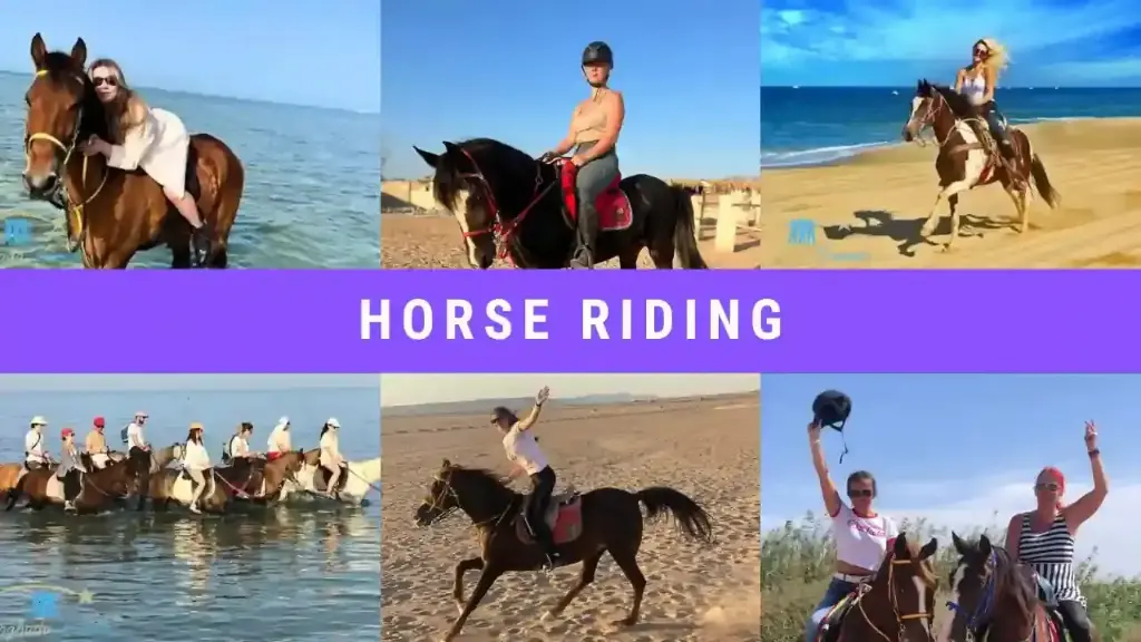 Hurghada Horse Riding Tour | A Unique Adventure Across Beach & Desert