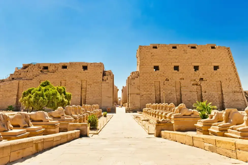 From Luxor: Private Full-Day Tour to East and West Banks (With Entrance Fees & Lunch) (Adult)