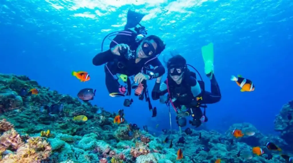Hurghada Diving Experience (VIP) | Dive in Style & Explore the Red Sea’s Hidden Wonders (Adult)