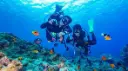 Hurghada Diving Experience (VIP) | Dive in Style & Explore the Red Sea’s Hidden Wonders